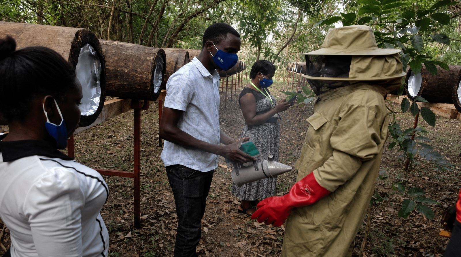 Beekeeping training session